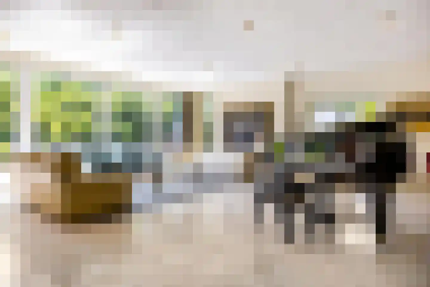 Hondsruglaan 14 Groningen thumbnail 12