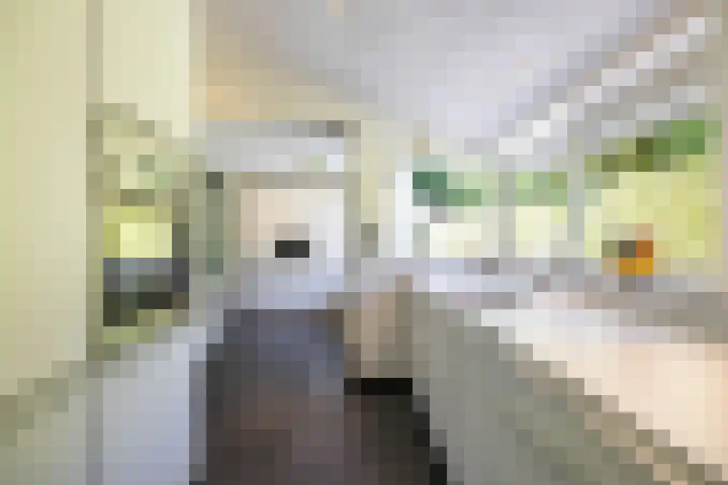Hondsruglaan 14 Groningen thumbnail 28