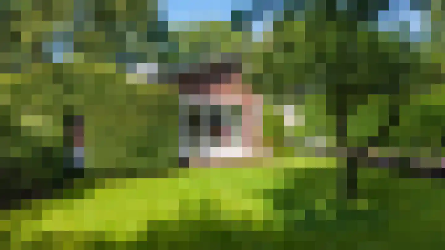 Hondsruglaan 14 Groningen thumbnail 37