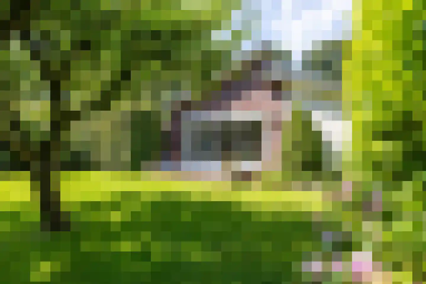 Hondsruglaan 14 Groningen thumbnail 38