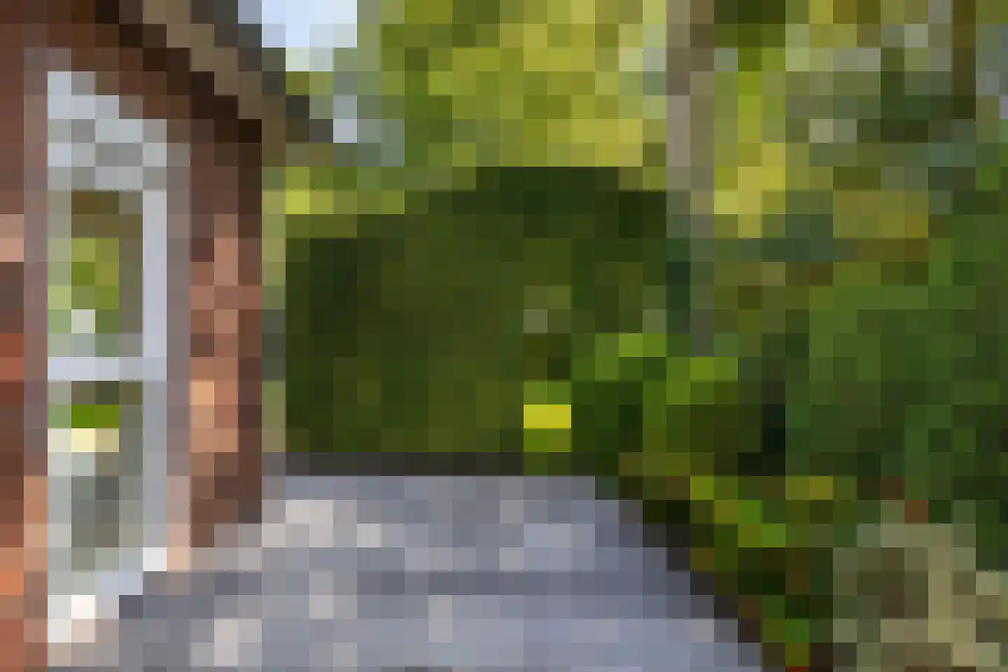 Hondsruglaan 14 Groningen thumbnail 39