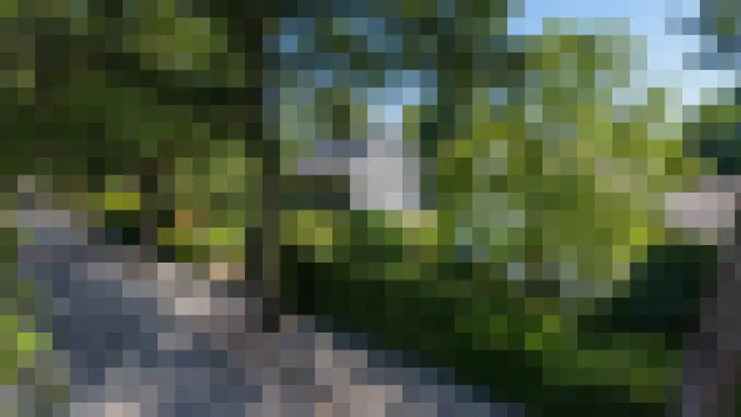 Hondsruglaan 14 Groningen thumbnail 4