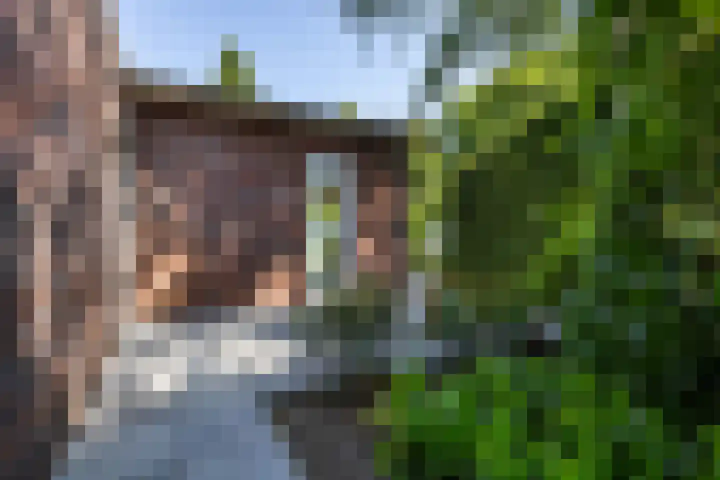 Hondsruglaan 14 Groningen thumbnail 40