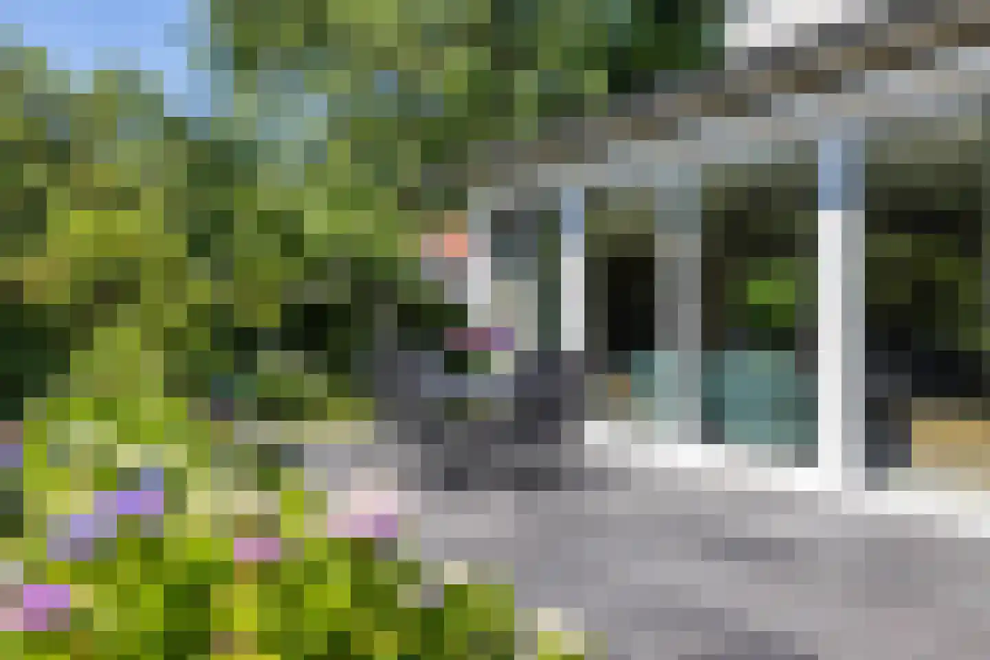 Hondsruglaan 14 Groningen thumbnail 42