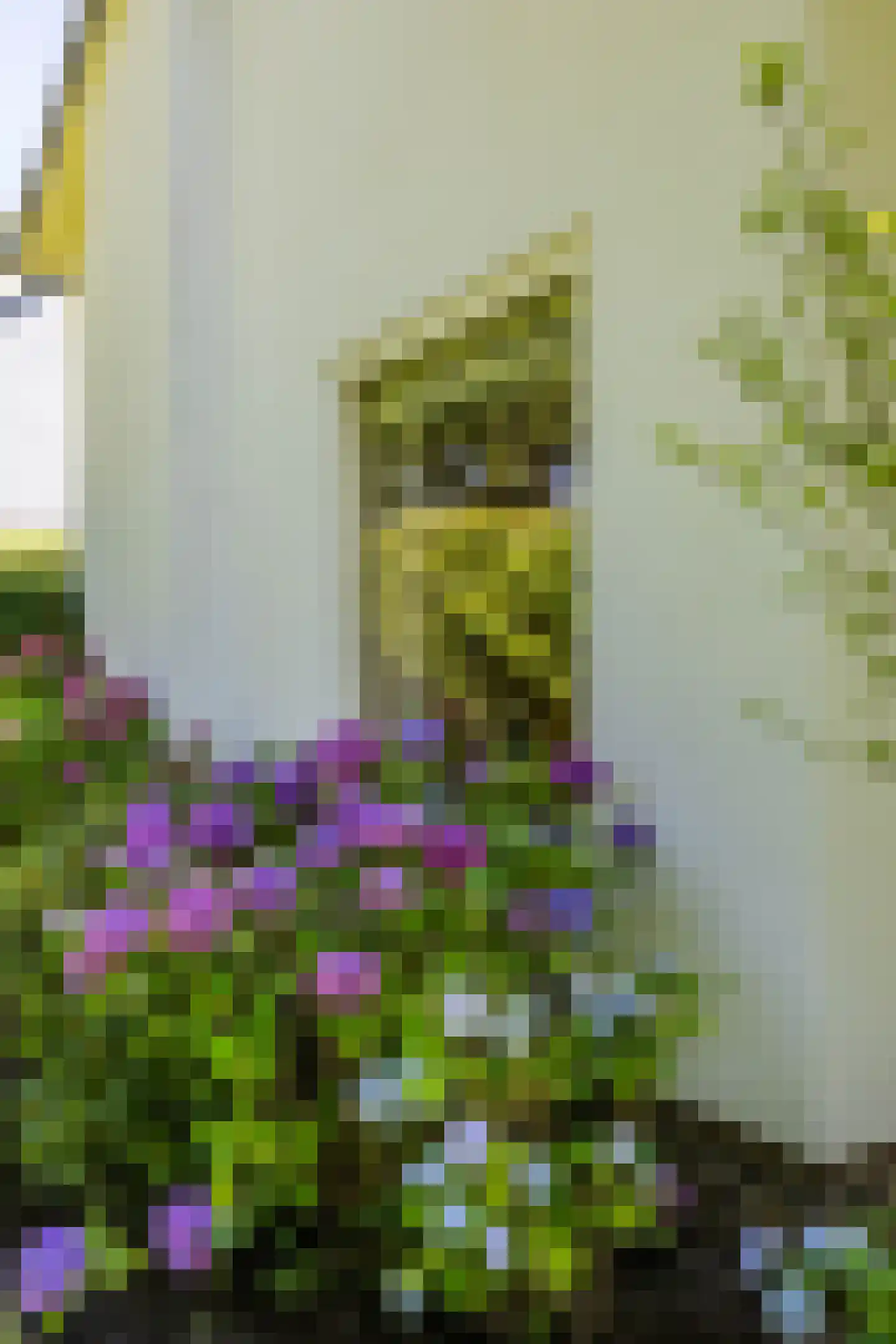Hondsruglaan 14 Groningen thumbnail 44