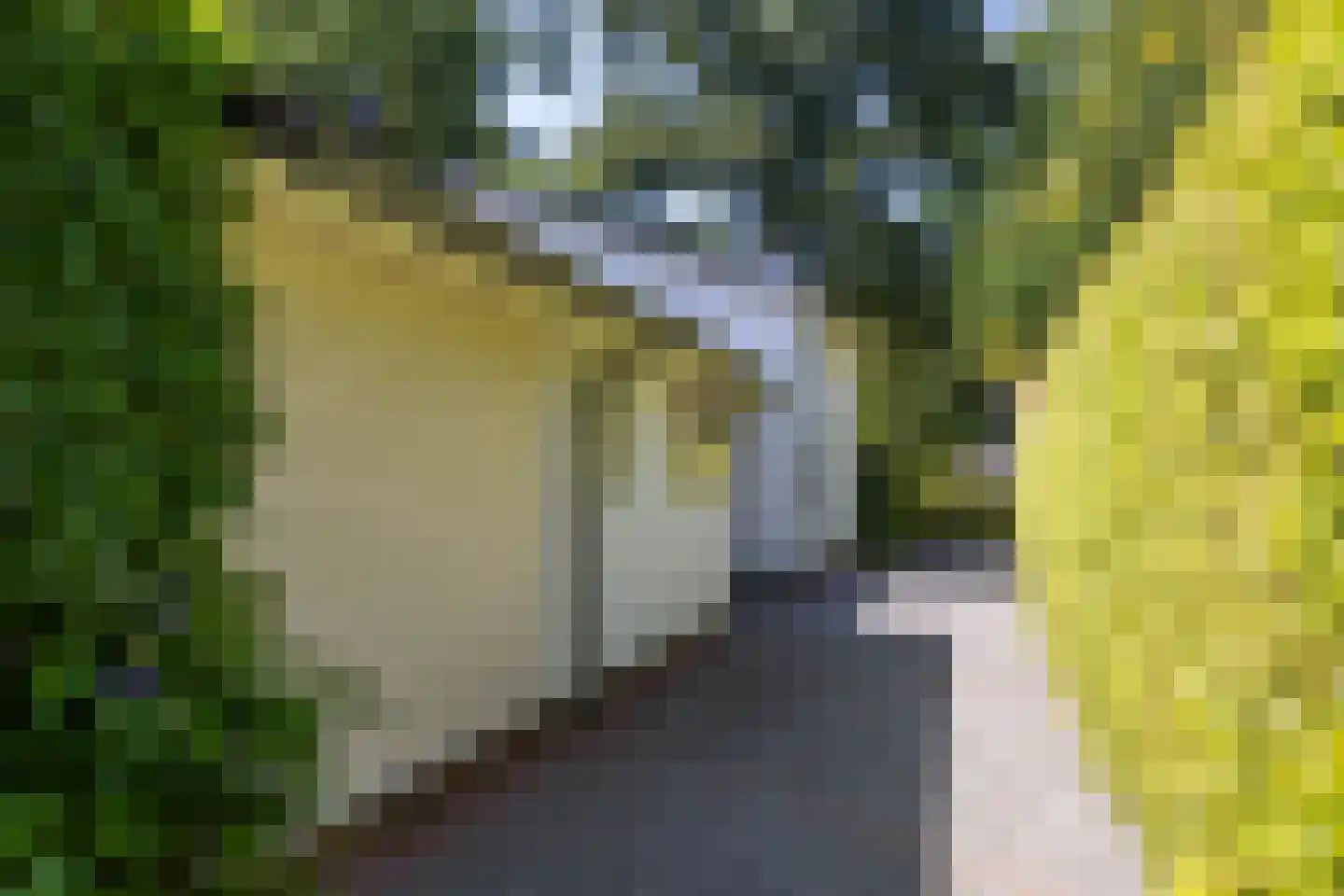 Hondsruglaan 14 Groningen thumbnail 45