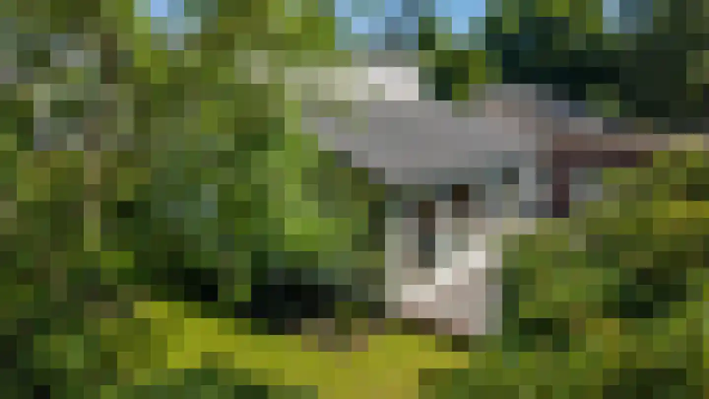 Hondsruglaan 14 Groningen thumbnail 5
