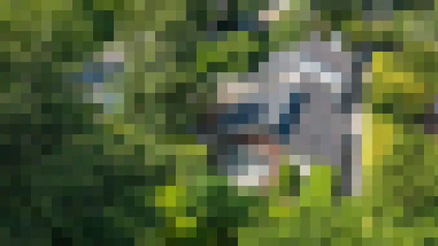 Hondsruglaan 14 Groningen thumbnail 6
