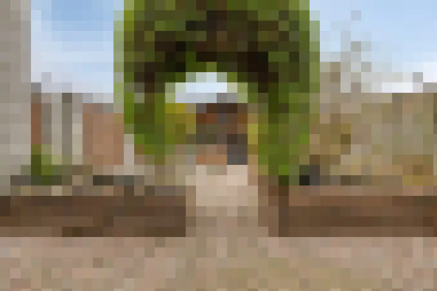 Hondsruglaan 140 Eindhoven thumbnail 21