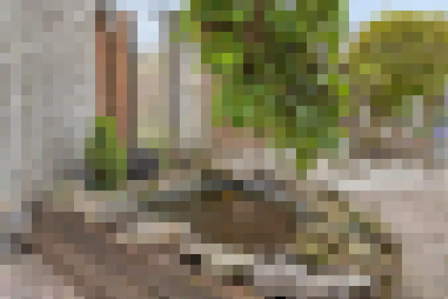 Hondsruglaan 140 Eindhoven thumbnail 25