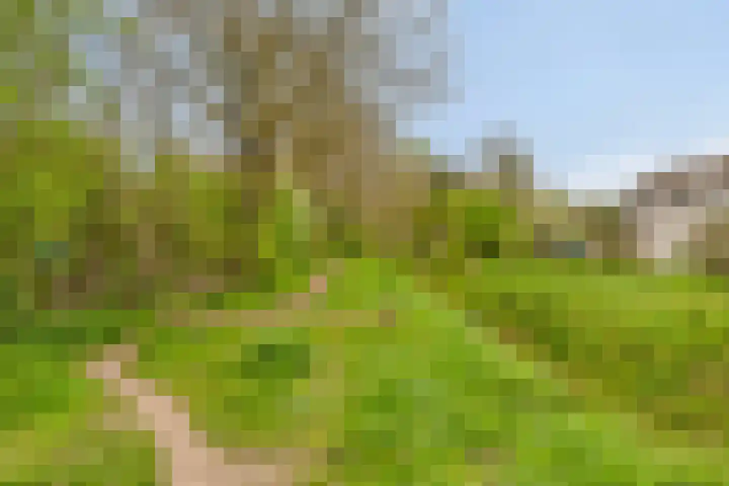 Hondsruglaan 140 Eindhoven thumbnail 27