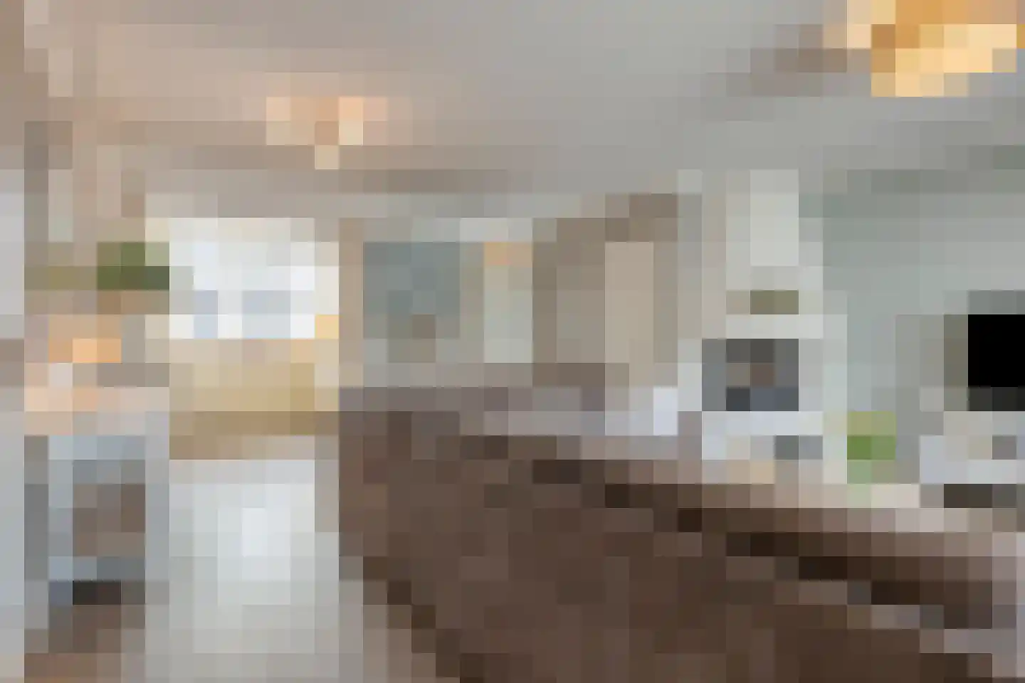 Hondsruglaan 158 Eindhoven thumbnail 12