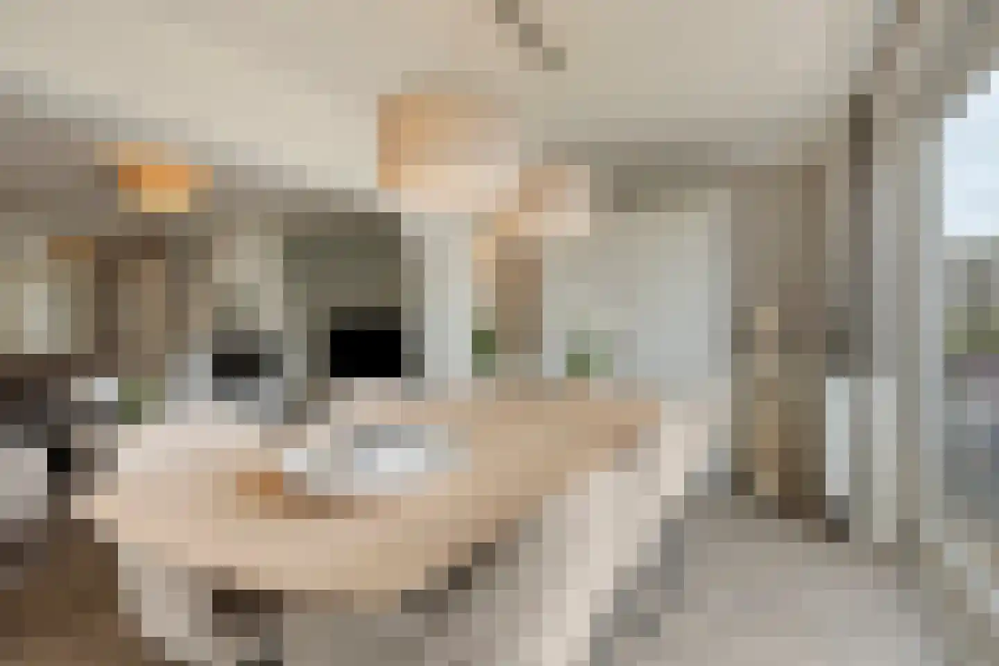 Hondsruglaan 158 Eindhoven thumbnail 21