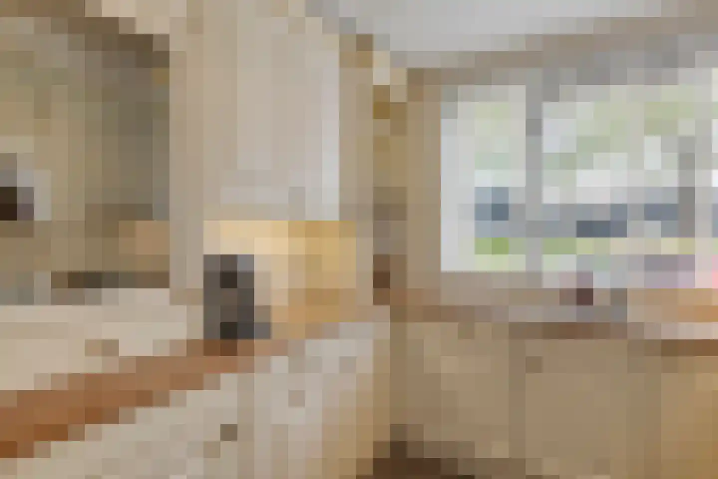 Hondsruglaan 158 Eindhoven thumbnail 27
