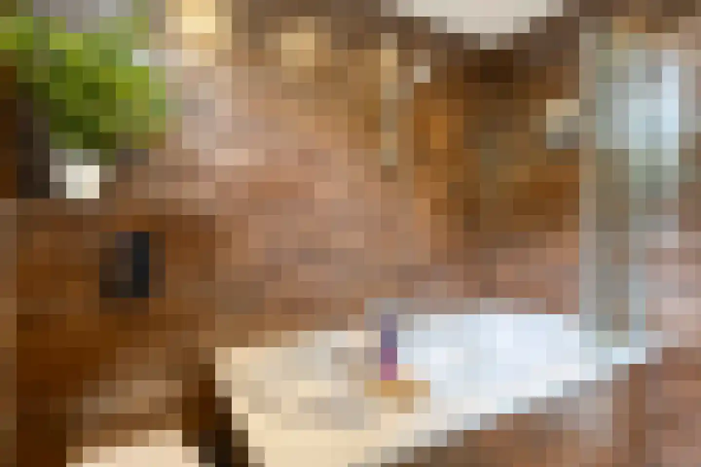 Hondsruglaan 158 Eindhoven thumbnail 37