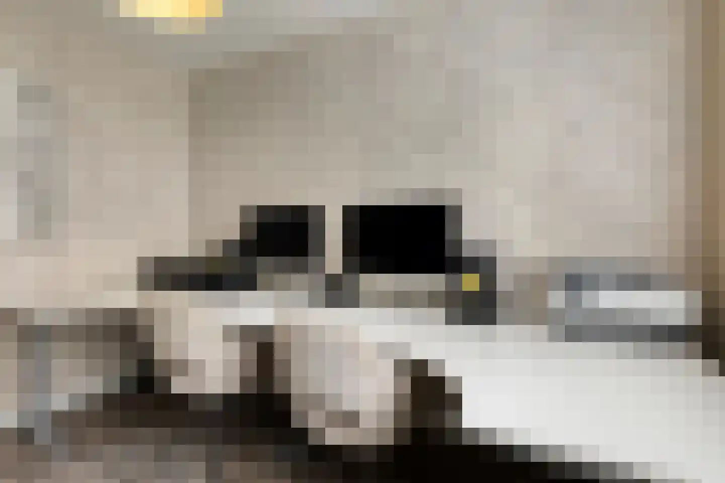 Hondsruglaan 158 Eindhoven thumbnail 41