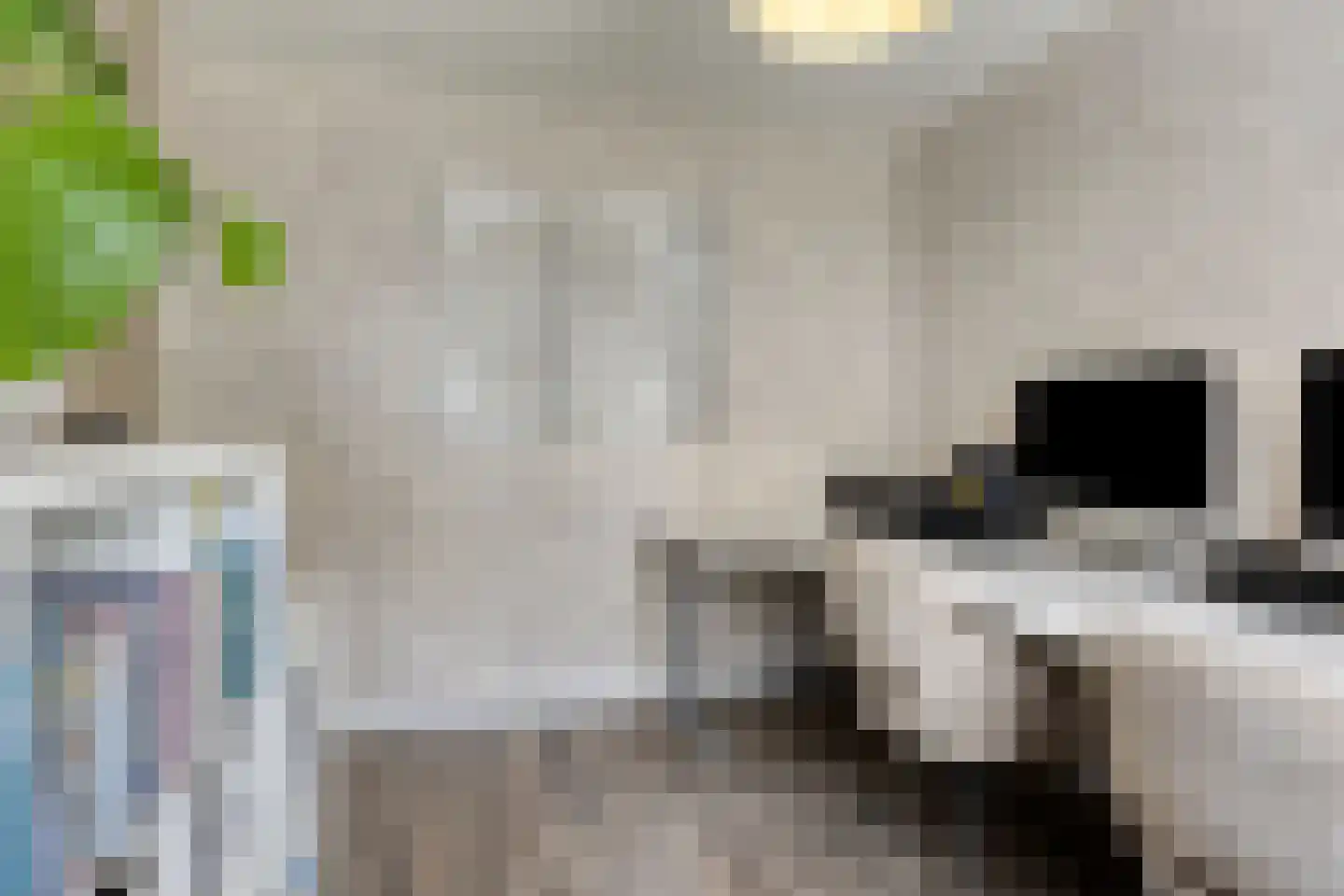 Hondsruglaan 158 Eindhoven thumbnail 44