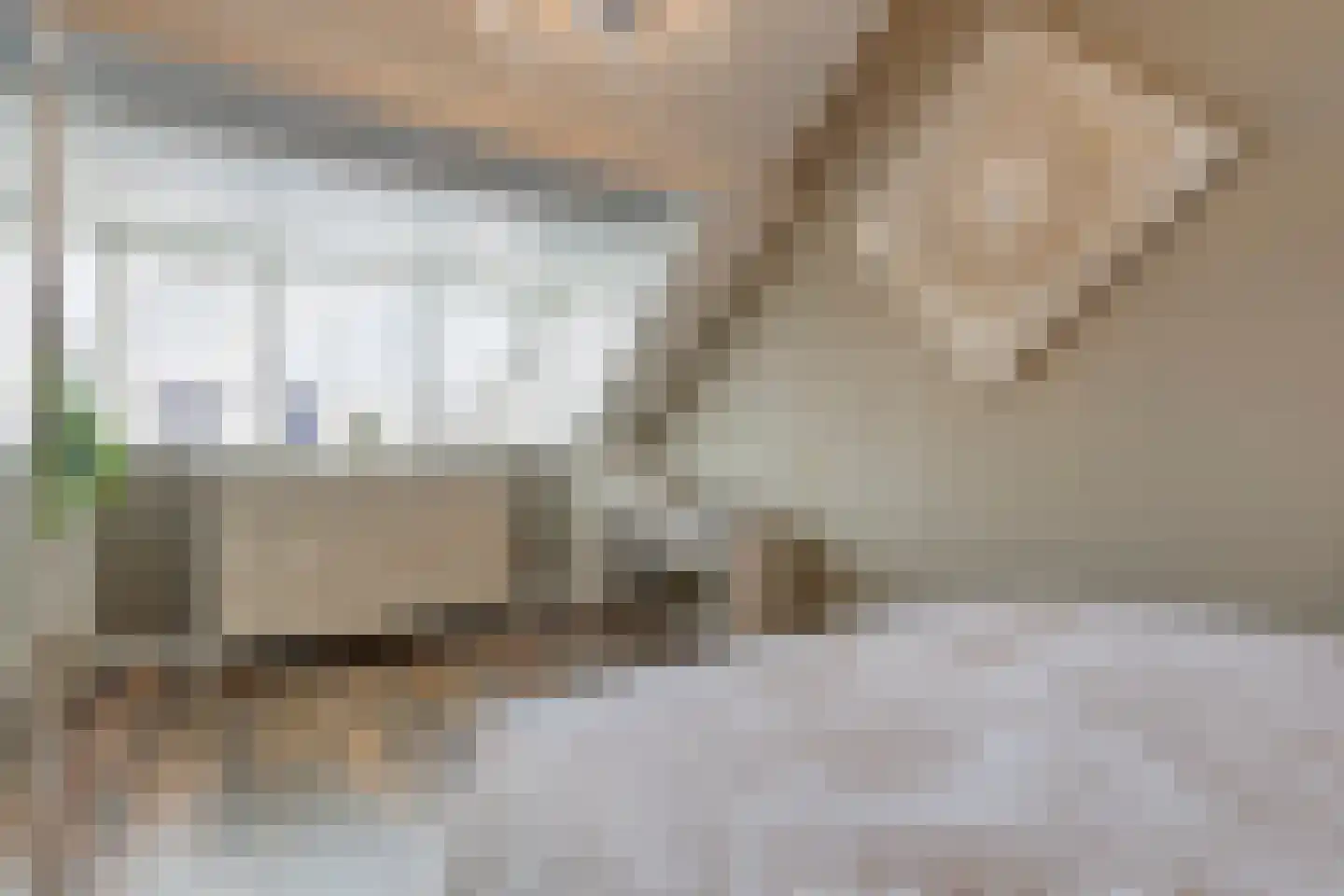 Hondsruglaan 158 Eindhoven thumbnail 47