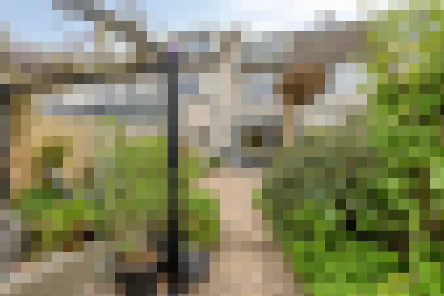 Hondsruglaan 158 Eindhoven thumbnail 49