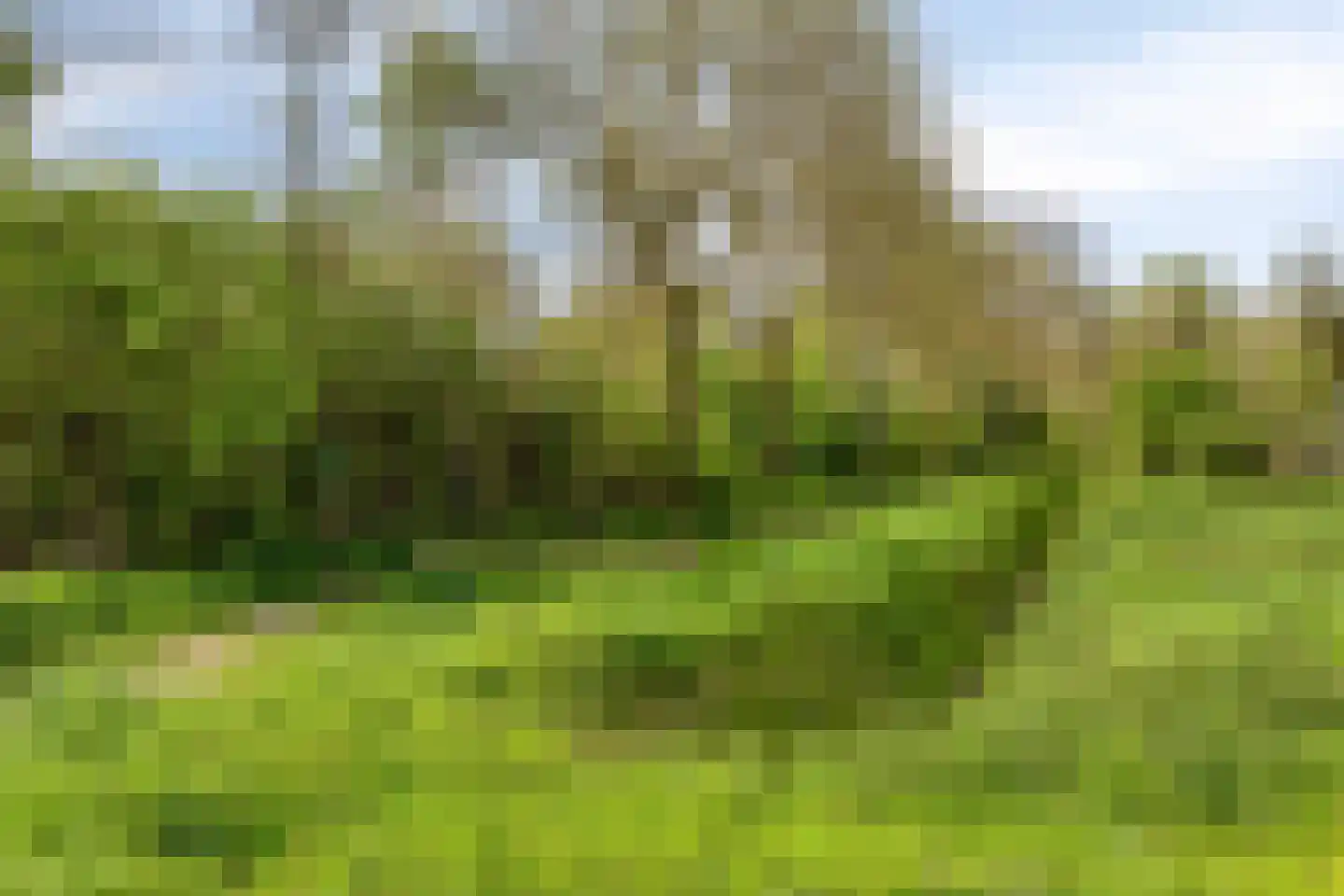 Hondsruglaan 158 Eindhoven thumbnail 55