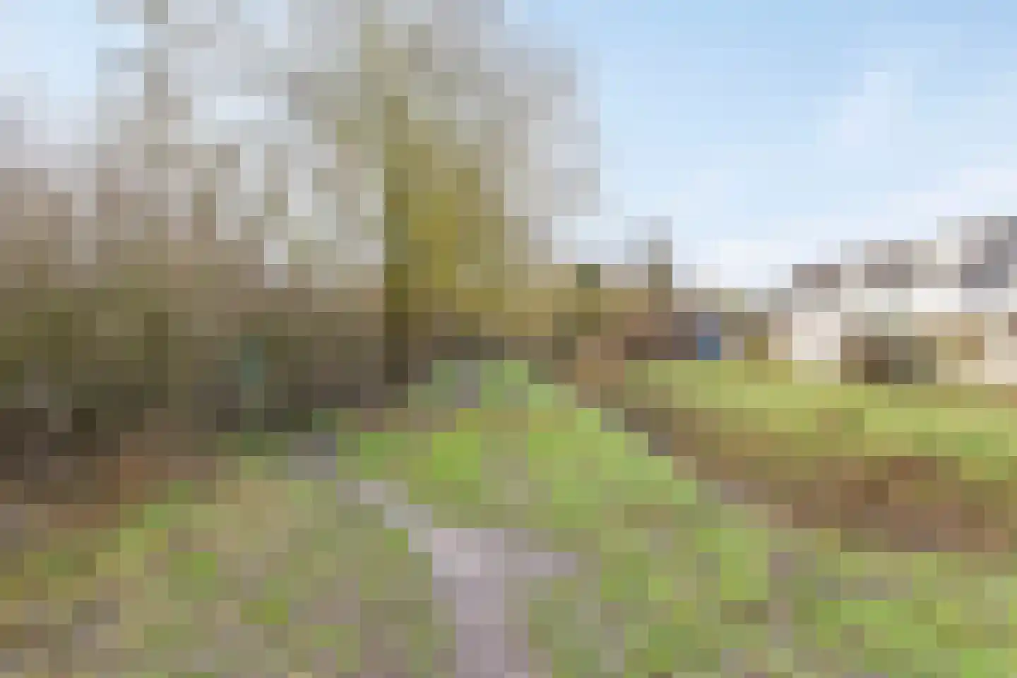 Hondsruglaan 166 Eindhoven thumbnail 38