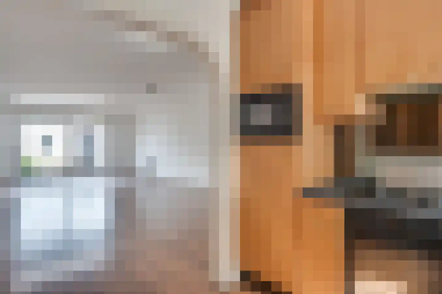 Hondsruglaan 168 Eindhoven thumbnail 18