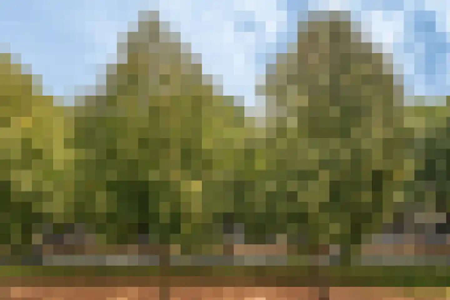 Hondsruglaan 168 Eindhoven thumbnail 36