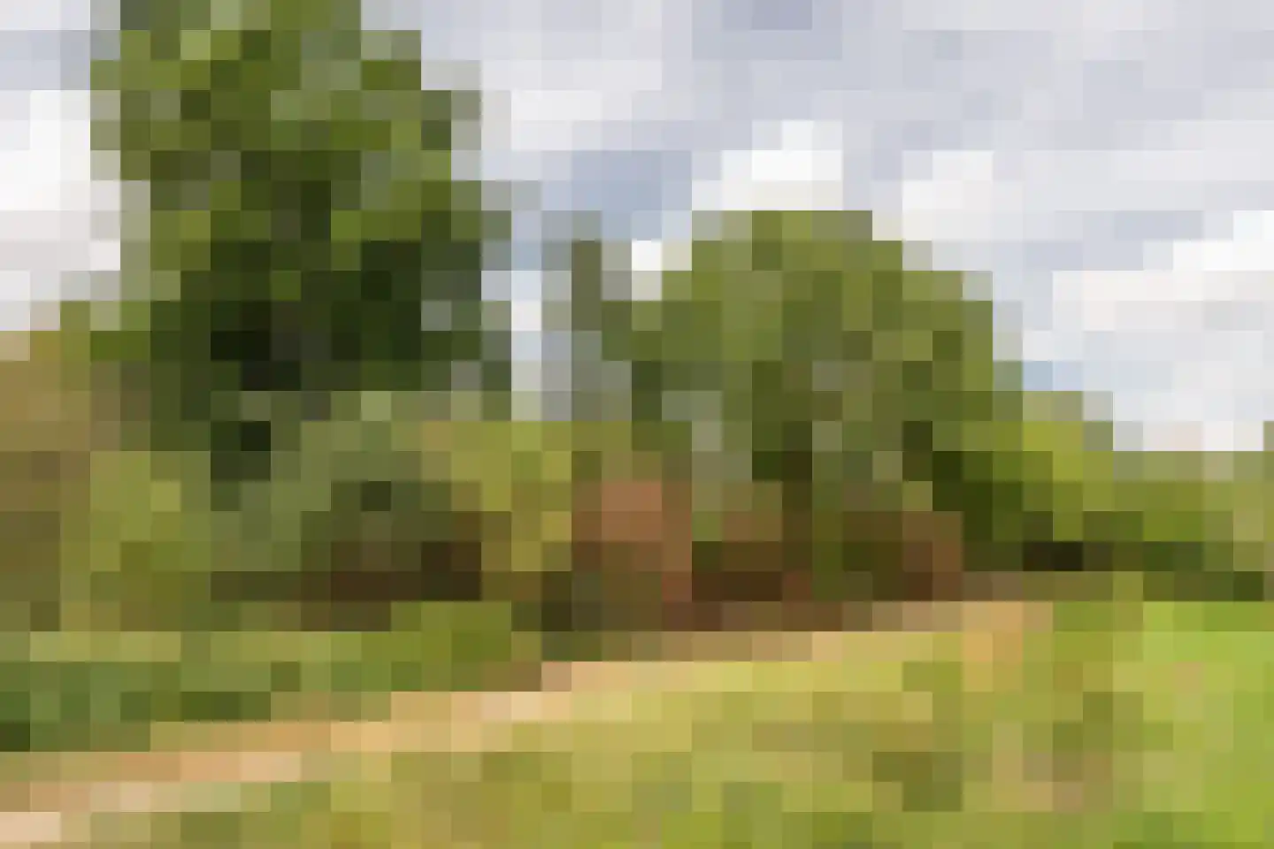 Hondsruglaan 168 Eindhoven thumbnail 49