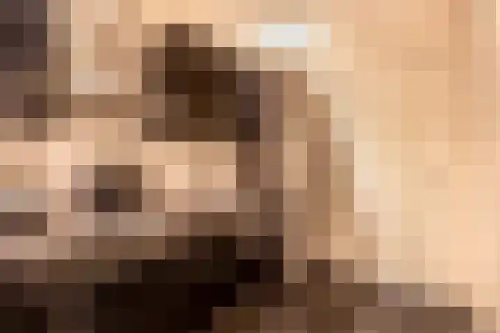 Hondsruglaan 24 Eindhoven thumbnail 25