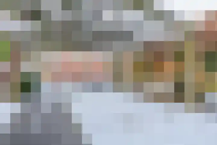 Hondsruglaan 24 Eindhoven thumbnail 45
