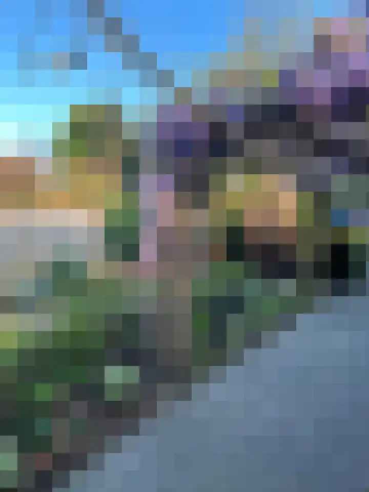Hondsruglaan 24 Eindhoven thumbnail 49