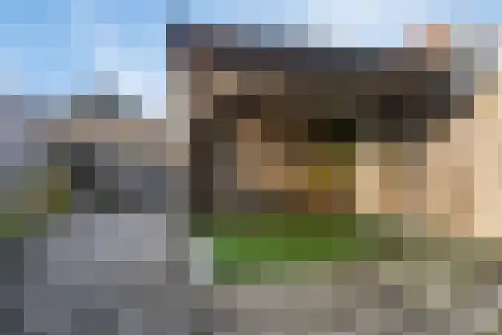 Hondsruglaan 7 Emmeloord thumbnail 27