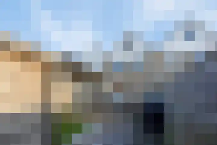 Hondsruglaan 7 Emmeloord thumbnail 28