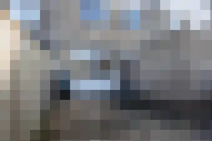 Hondsruglaan 7 Emmeloord thumbnail 29