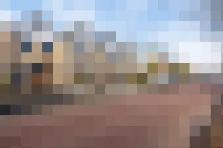 Hondsruglaan 7 Emmeloord thumbnail 31