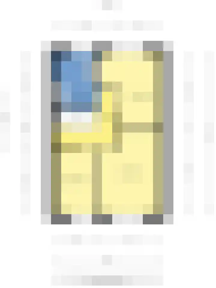 Hondsruglaan 7 Emmeloord thumbnail 36