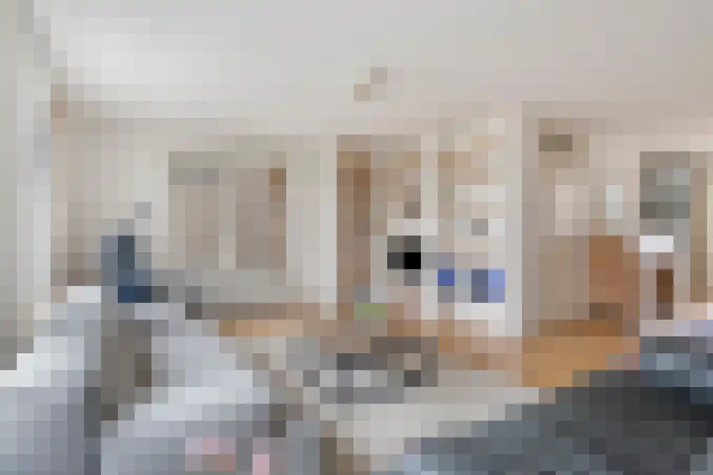 Hondsruglaan 88 Eindhoven thumbnail 8