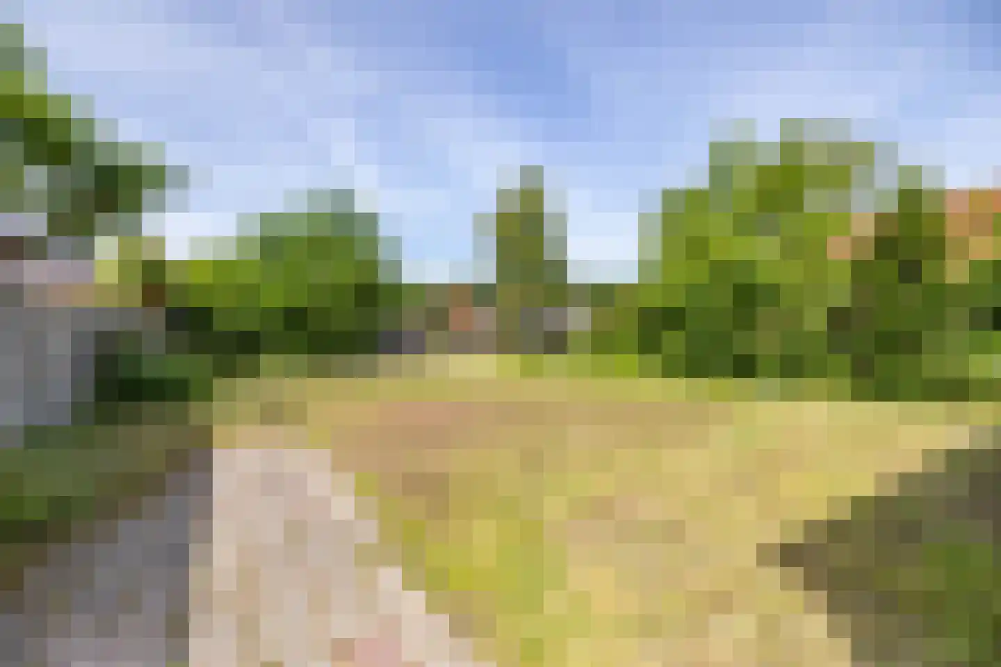 Hondsrugstraat 18 Zuidlaren thumbnail 11