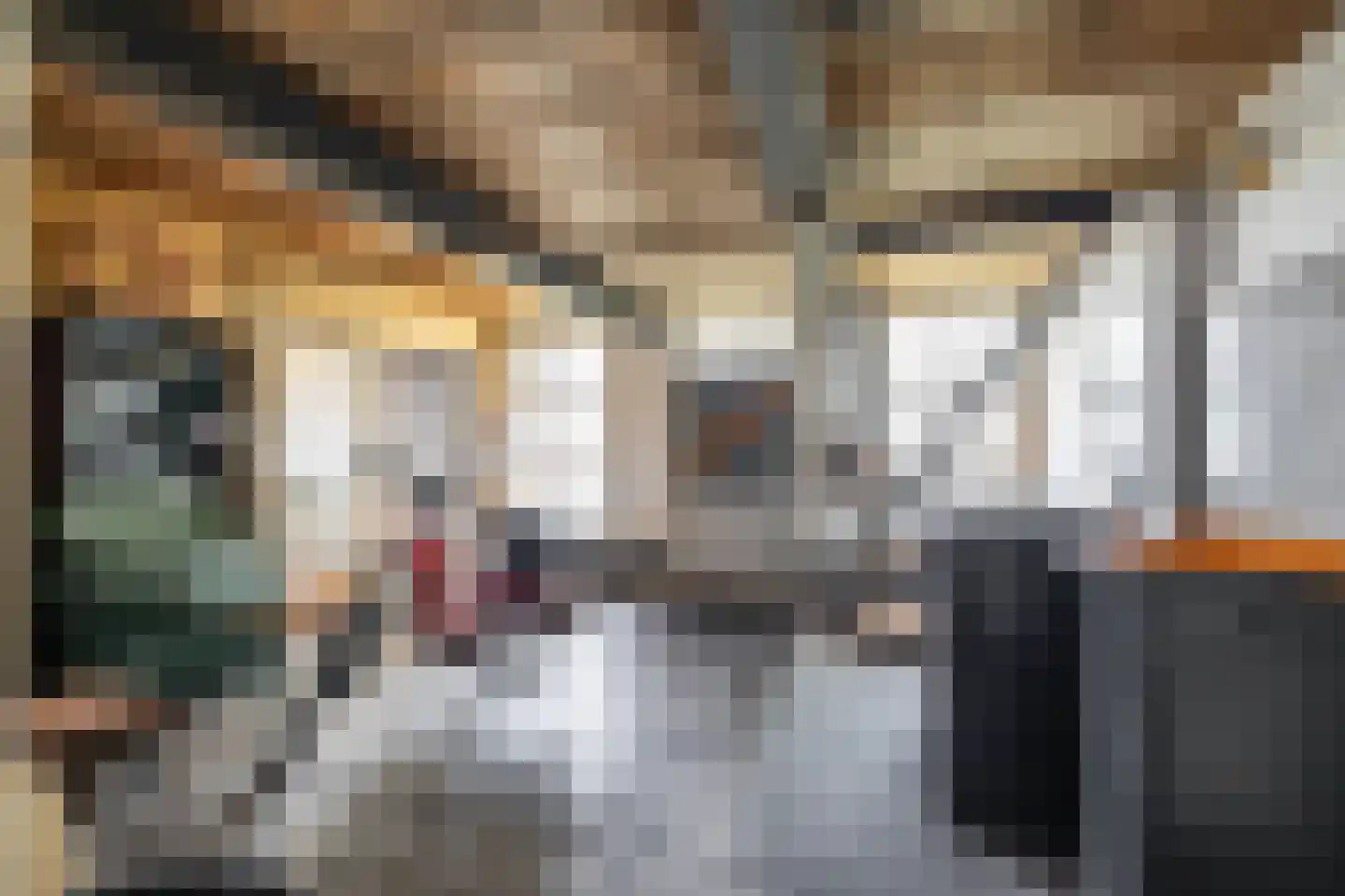 Hondsrugstraat 18 Zuidlaren thumbnail 27