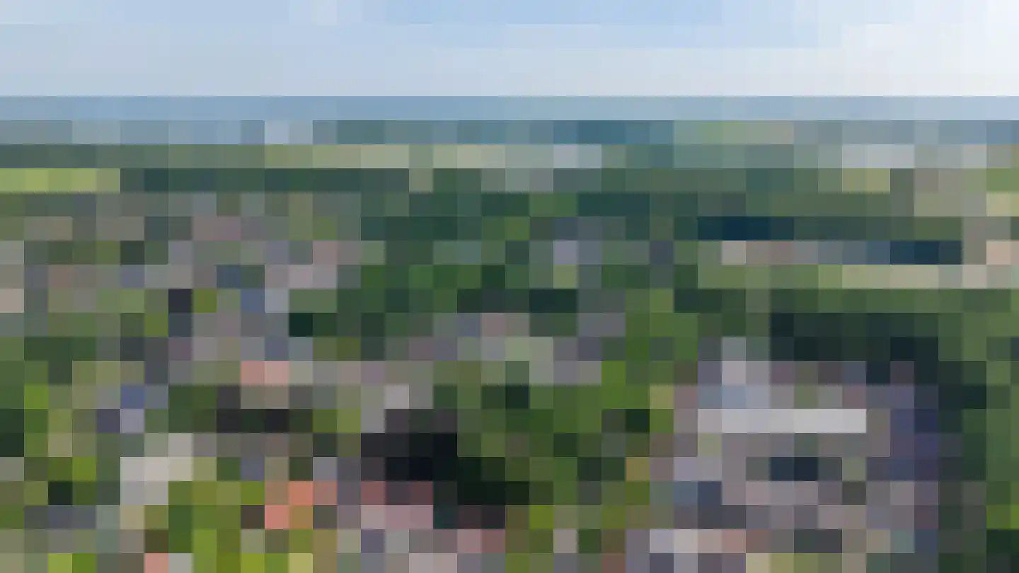 Hondsrugstraat 18 Zuidlaren thumbnail 8