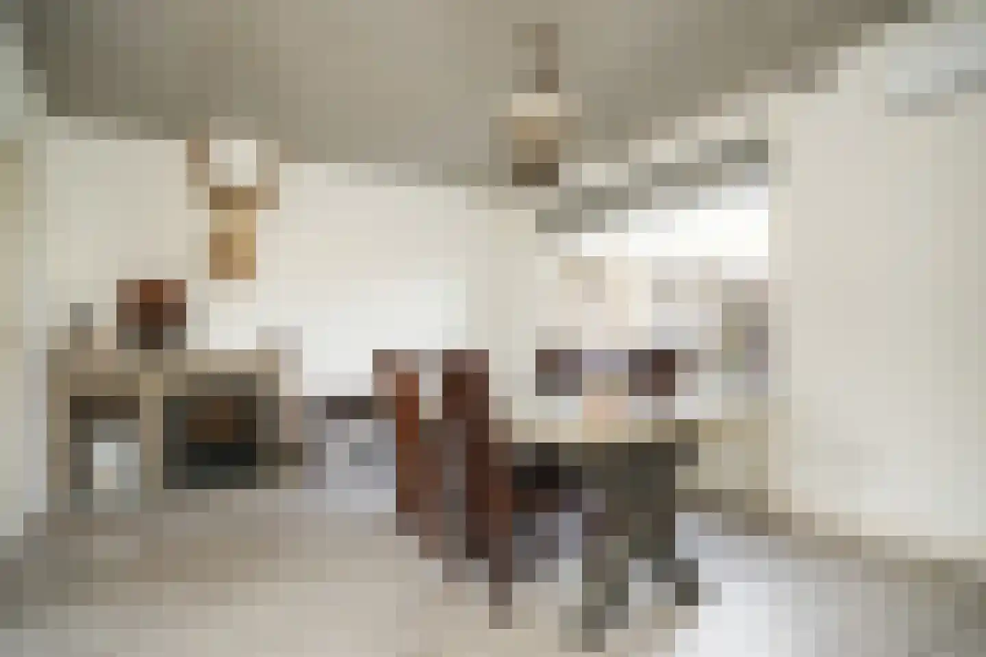 Hondstraat 11 Velddriel thumbnail 10