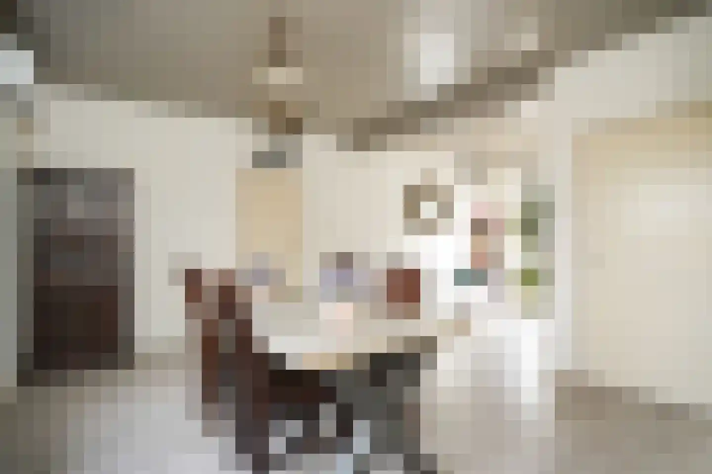 Hondstraat 11 Velddriel thumbnail 13