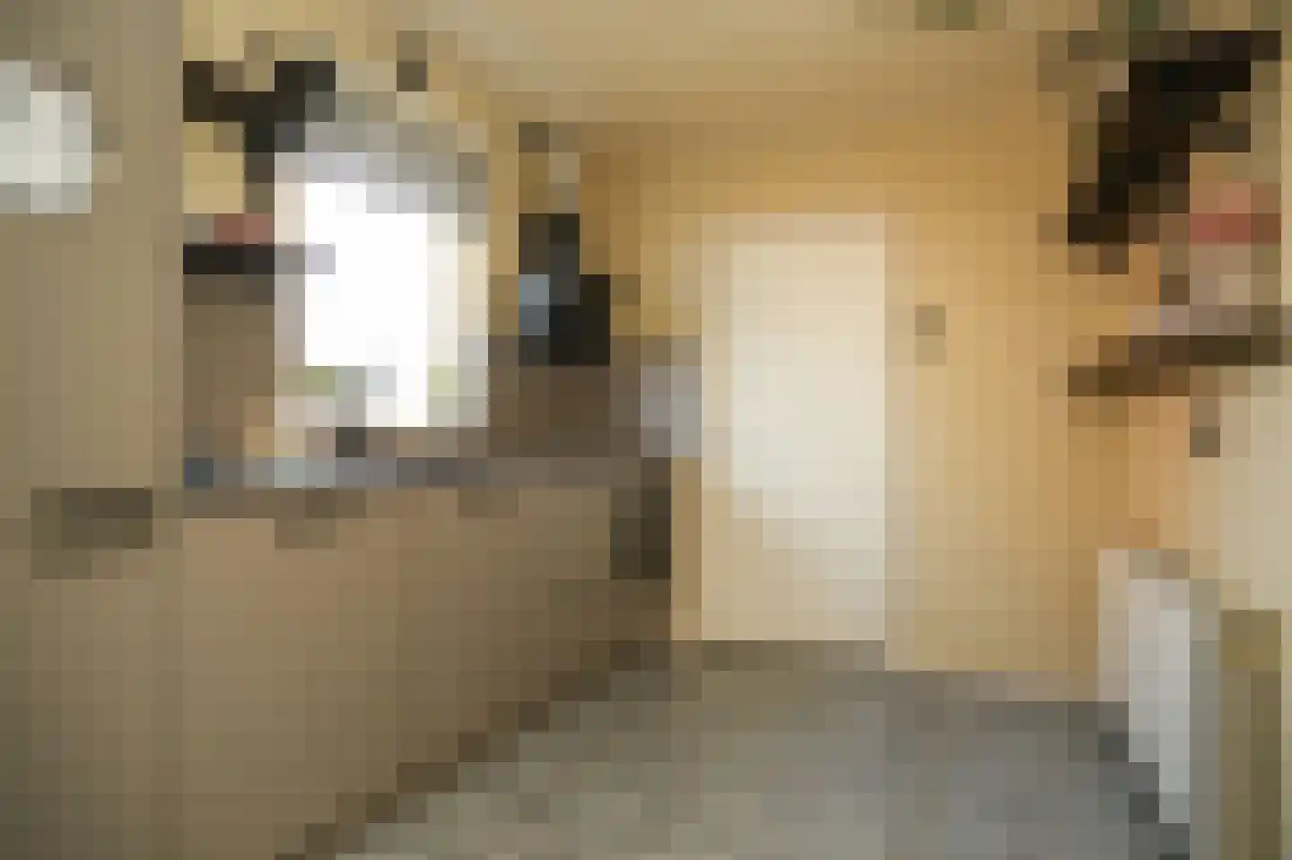 Hondstraat 11 Velddriel thumbnail 14
