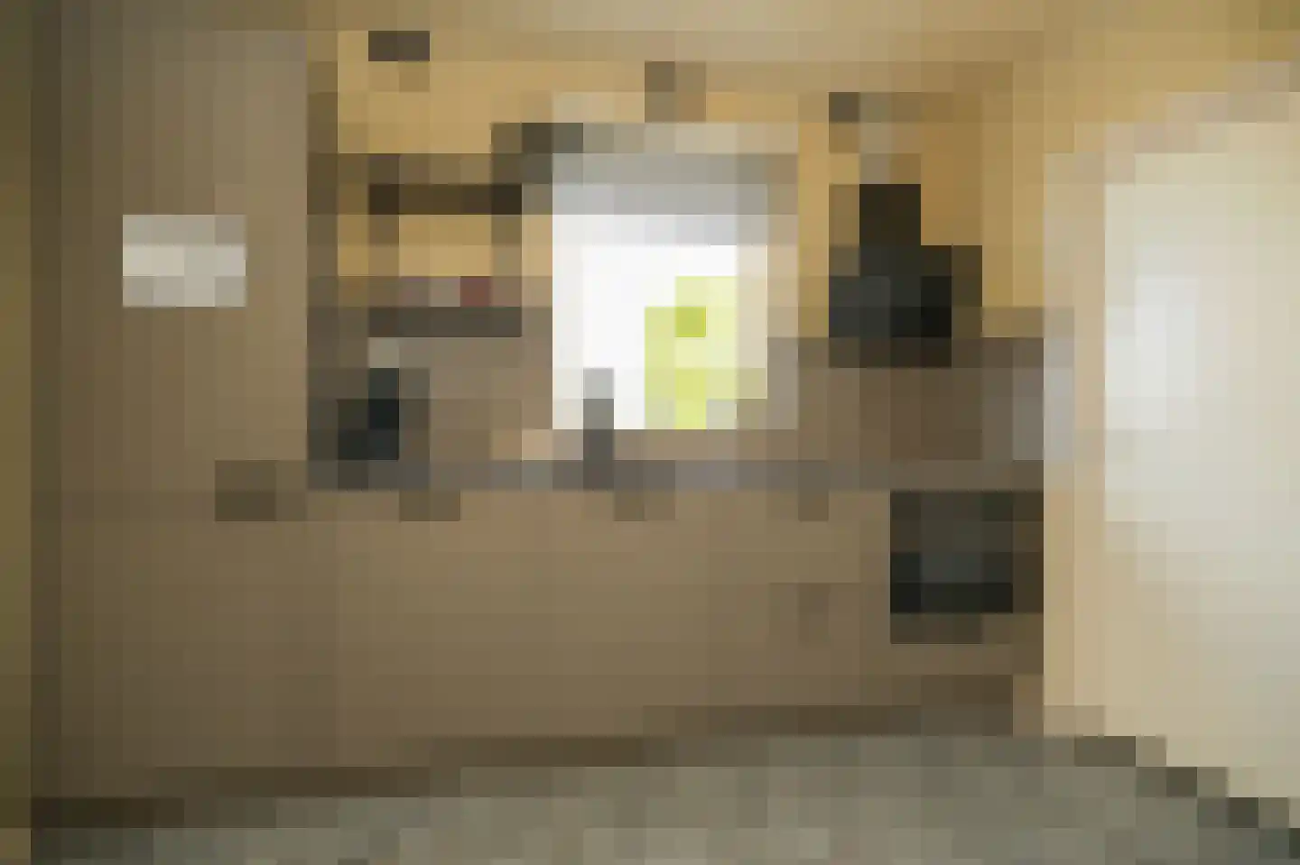 Hondstraat 11 Velddriel thumbnail 15