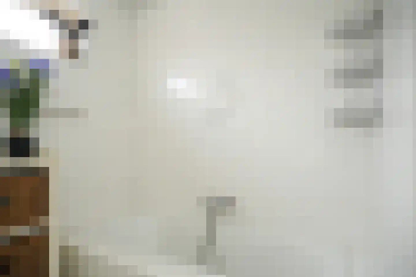 Hondstraat 11 Velddriel thumbnail 18