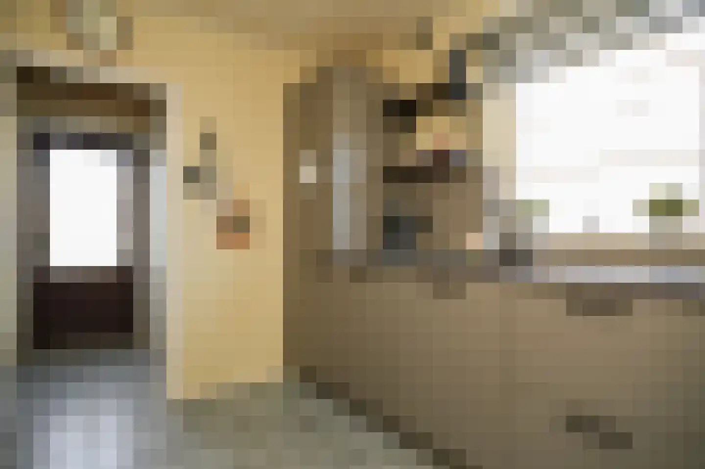 Hondstraat 11 Velddriel thumbnail 19
