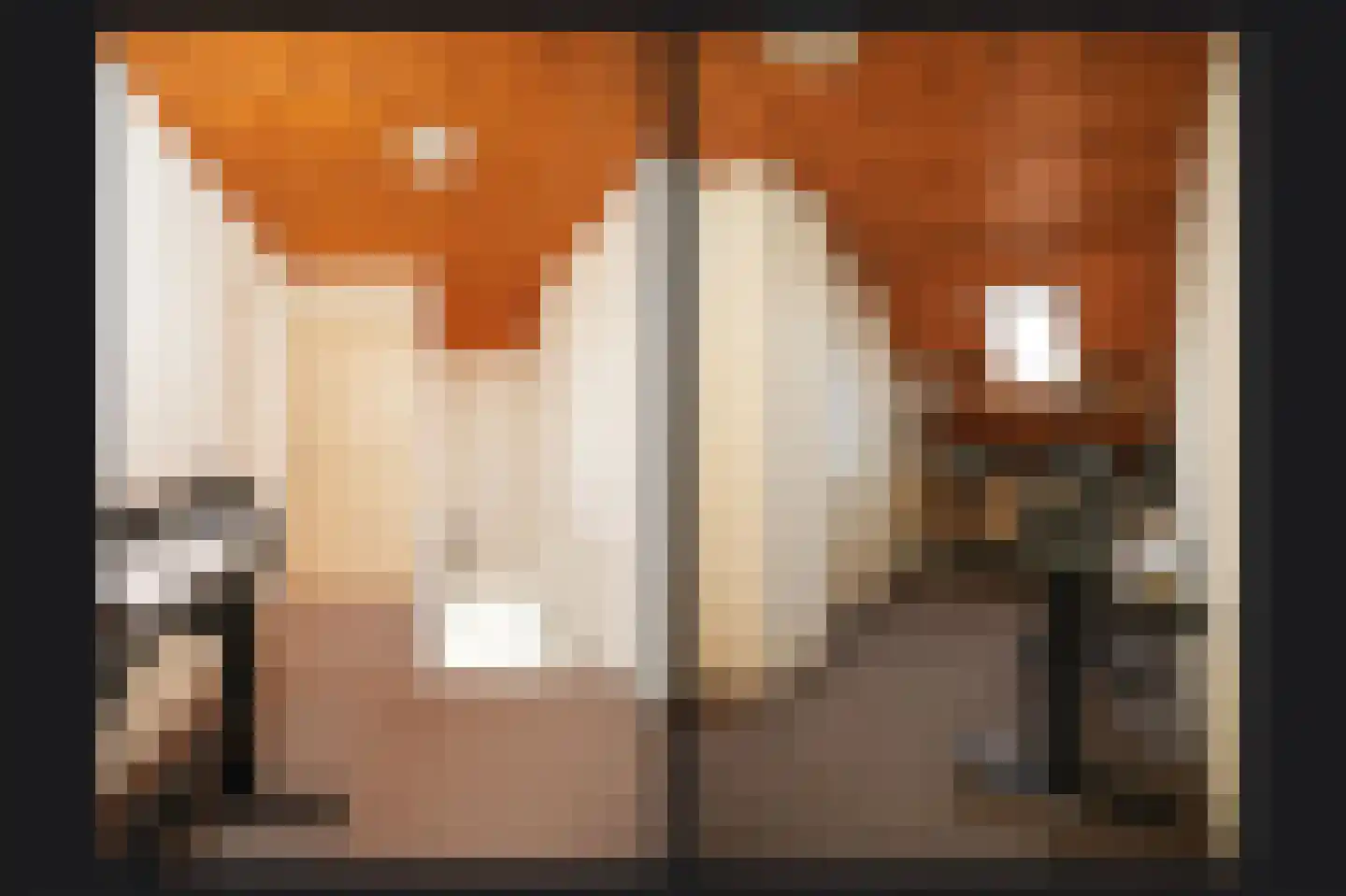 Hondstraat 11 Velddriel thumbnail 21
