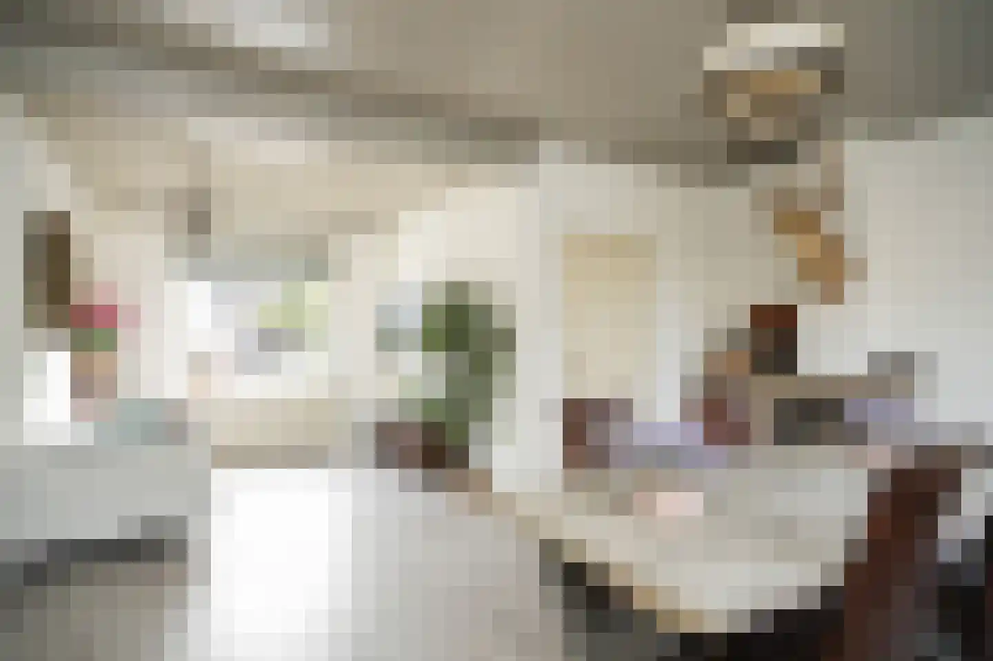 Hondstraat 11 Velddriel thumbnail 6