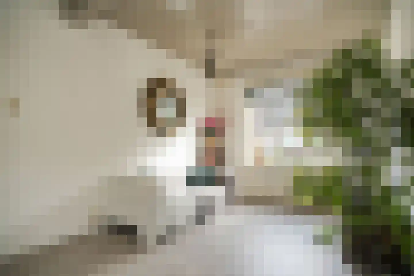 Hondstraat 11 Velddriel thumbnail 8