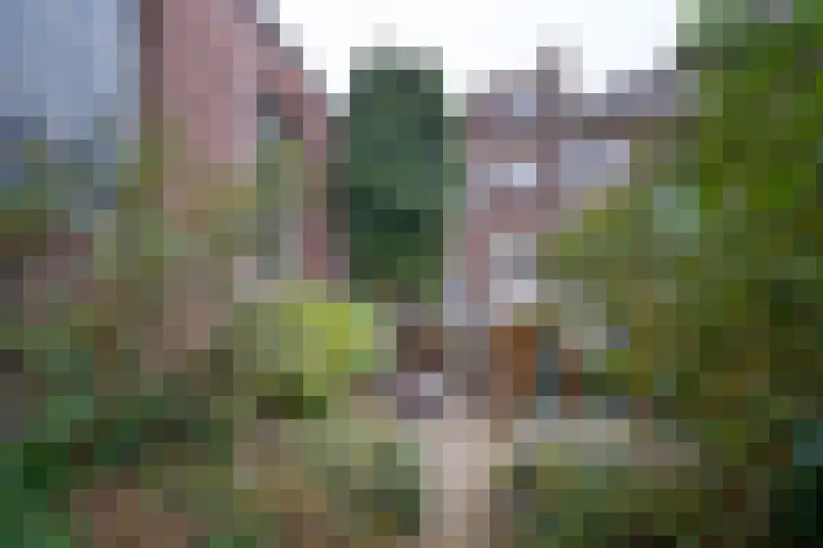 Hondstraat 12 Maastricht thumbnail 19